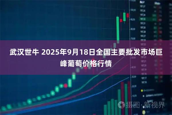 武汉世牛 2025年9月18日全国主要批发市场巨峰葡萄价格行情